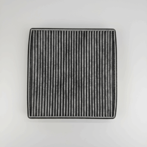 EJS119G245BA FILTRO POLEN